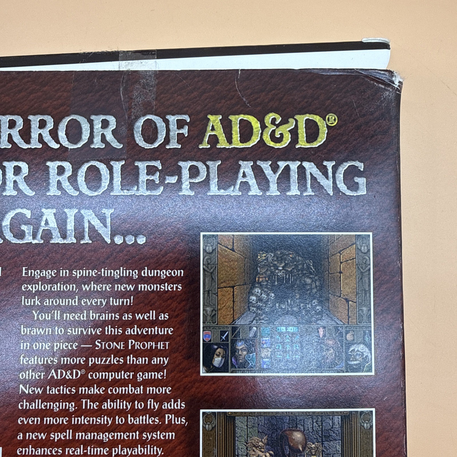 Advanced Dungeons and Dragons Ravenloft Stone Prophet CD DOS PC Big Box READ!