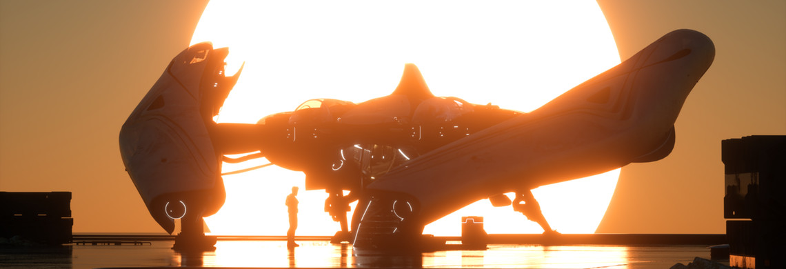 Star Citizen Banu Defender LTI Lifetime Insurance (Original Concept)