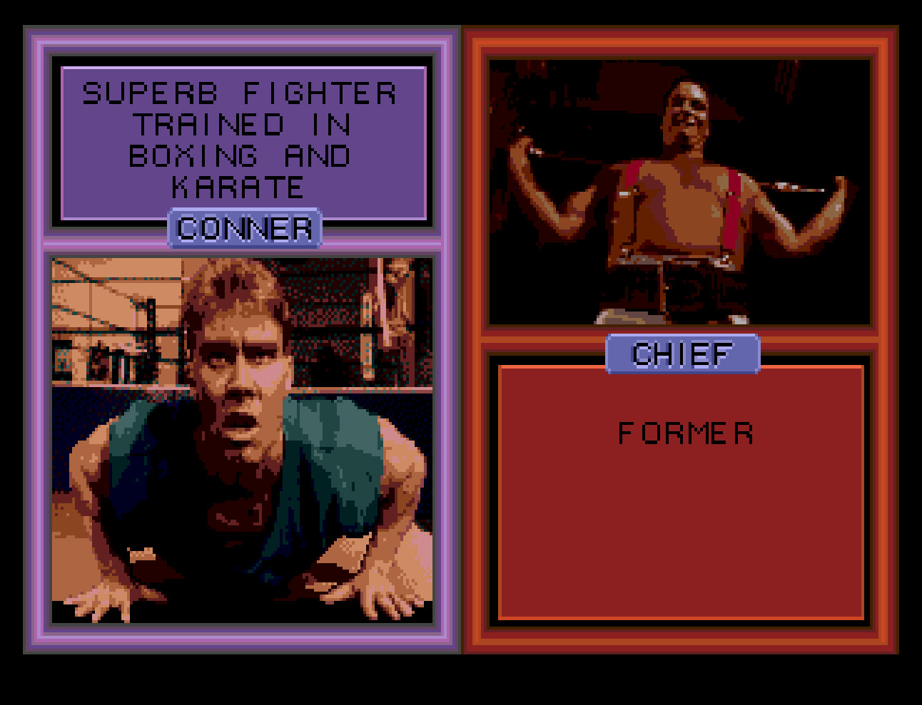 Pit-Fighter 2 “Prototype” for Sega Genesis with case & cover art.