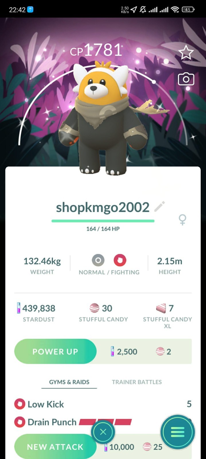 Shiny Bewear Background Go Wild Area 2025