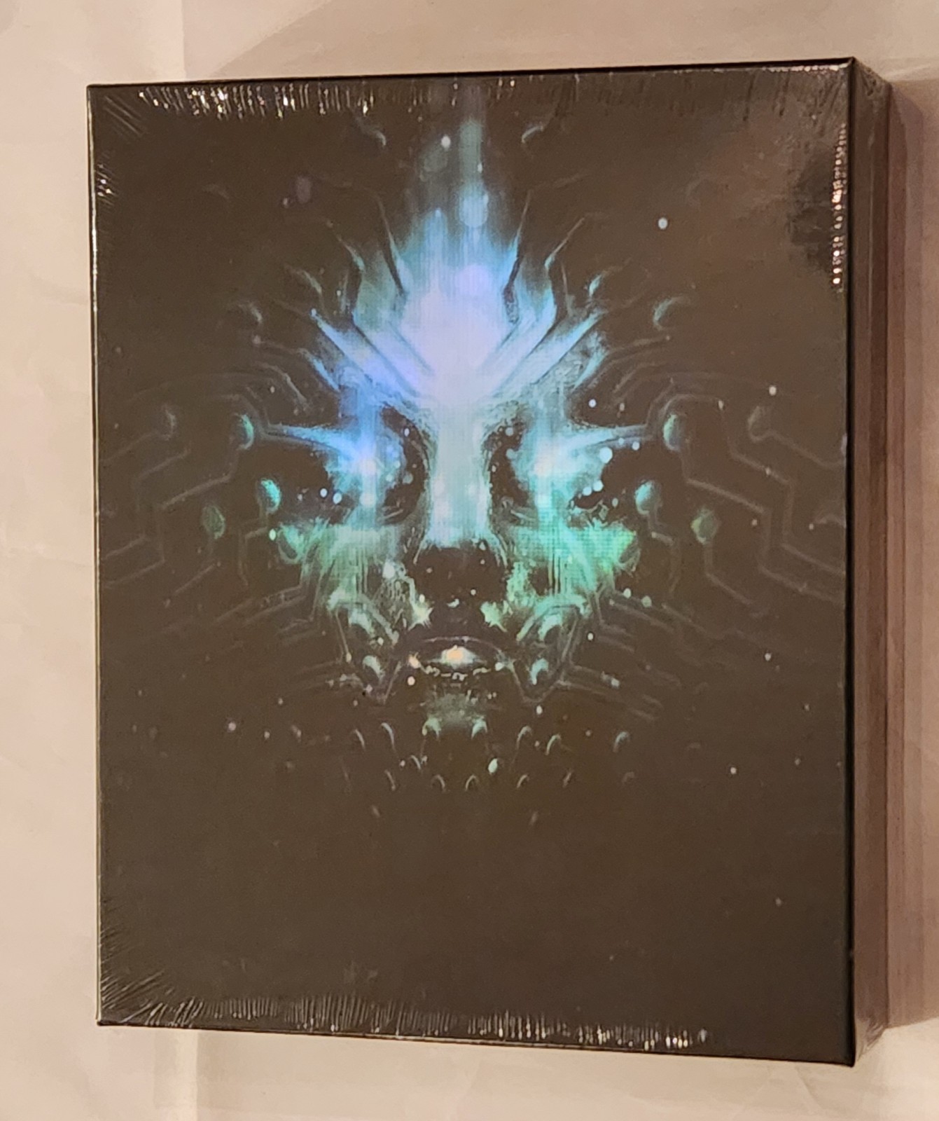 System Shock Remake Big Box Collector’s Edition (PC) Kickstarter Rare NEW SEALED