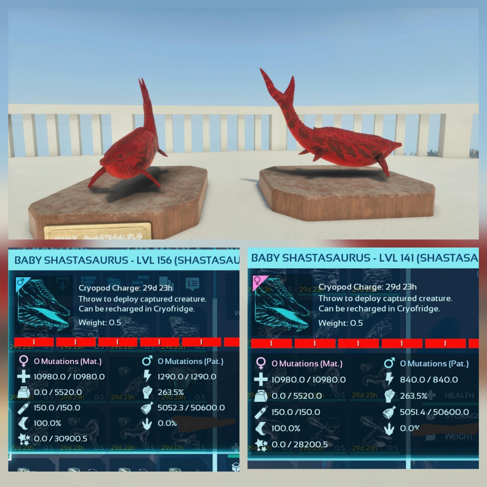 ARK ASCENDED PVE OFFICIAL PAIR BABY SHASTASAURUS RED ID01 PC/XBOX/PS5