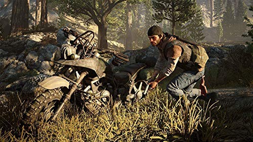 Days Gone for PlayStation 4 – GOOD