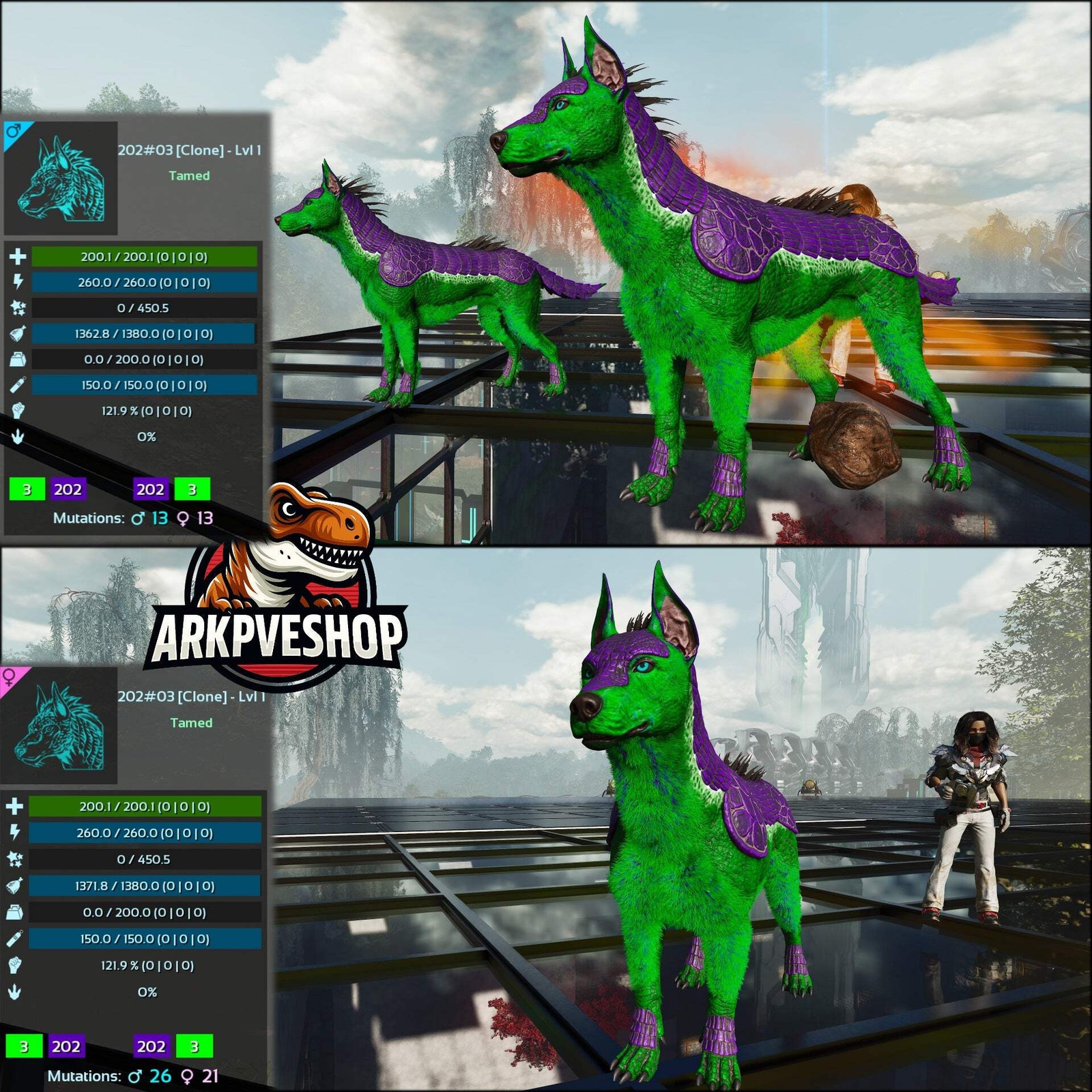 ASA PVE 🦖ARK Survival Ascended Armadoggo Lvl 1 Clone