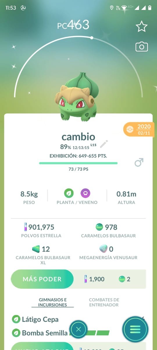 Pokemon Bulbasaur Shedinja Hat shiny Male