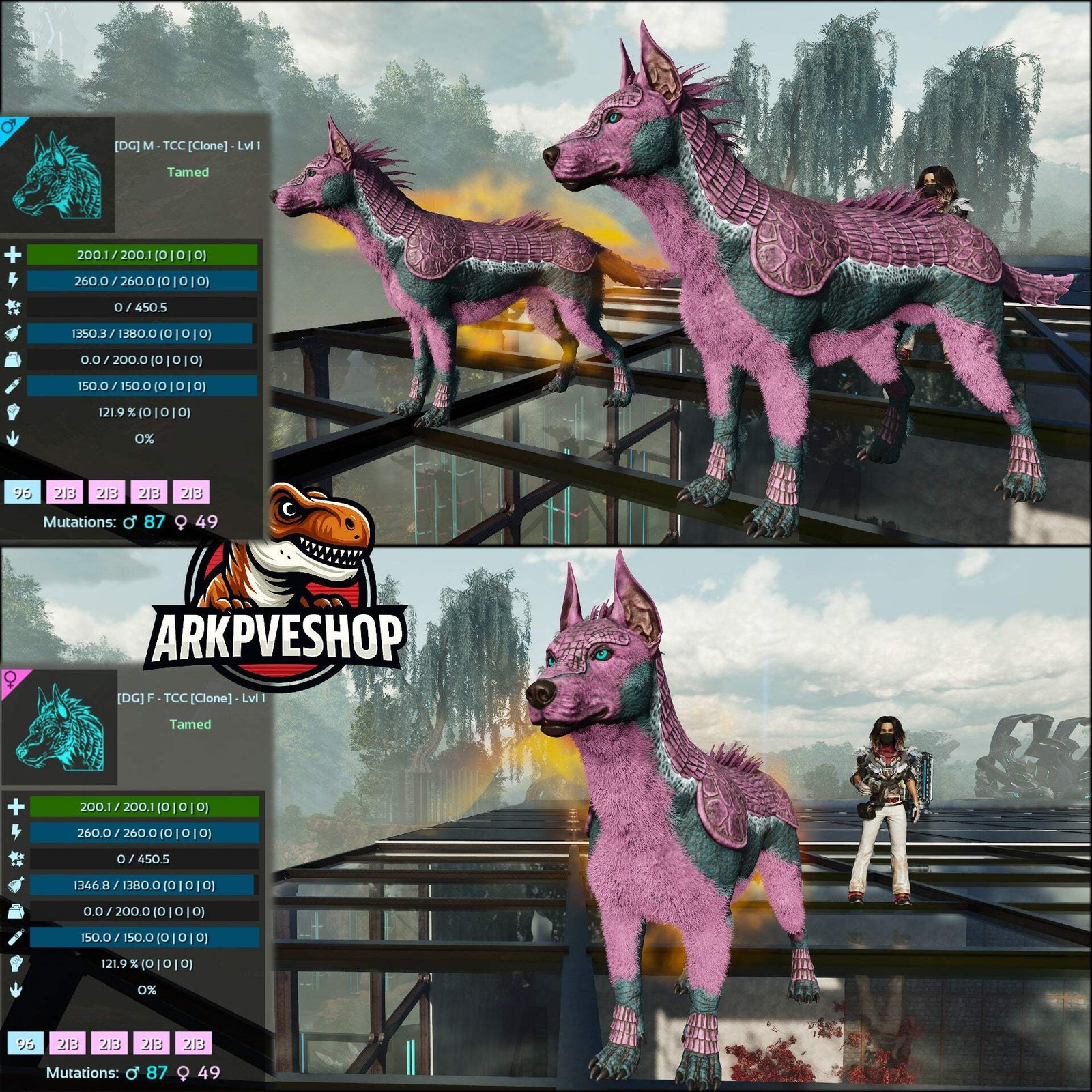 ASA PVE 🦖ARK Survival Ascended Armadoggo Lvl 1 Clone