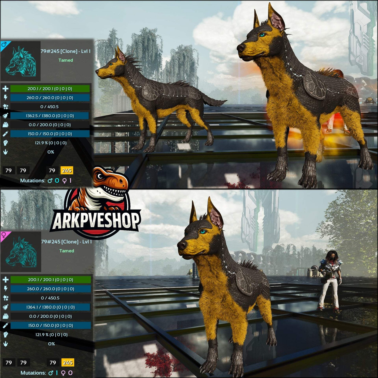 ASA PVE 🦖ARK Survival Ascended Armadoggo Lvl 1 Clone