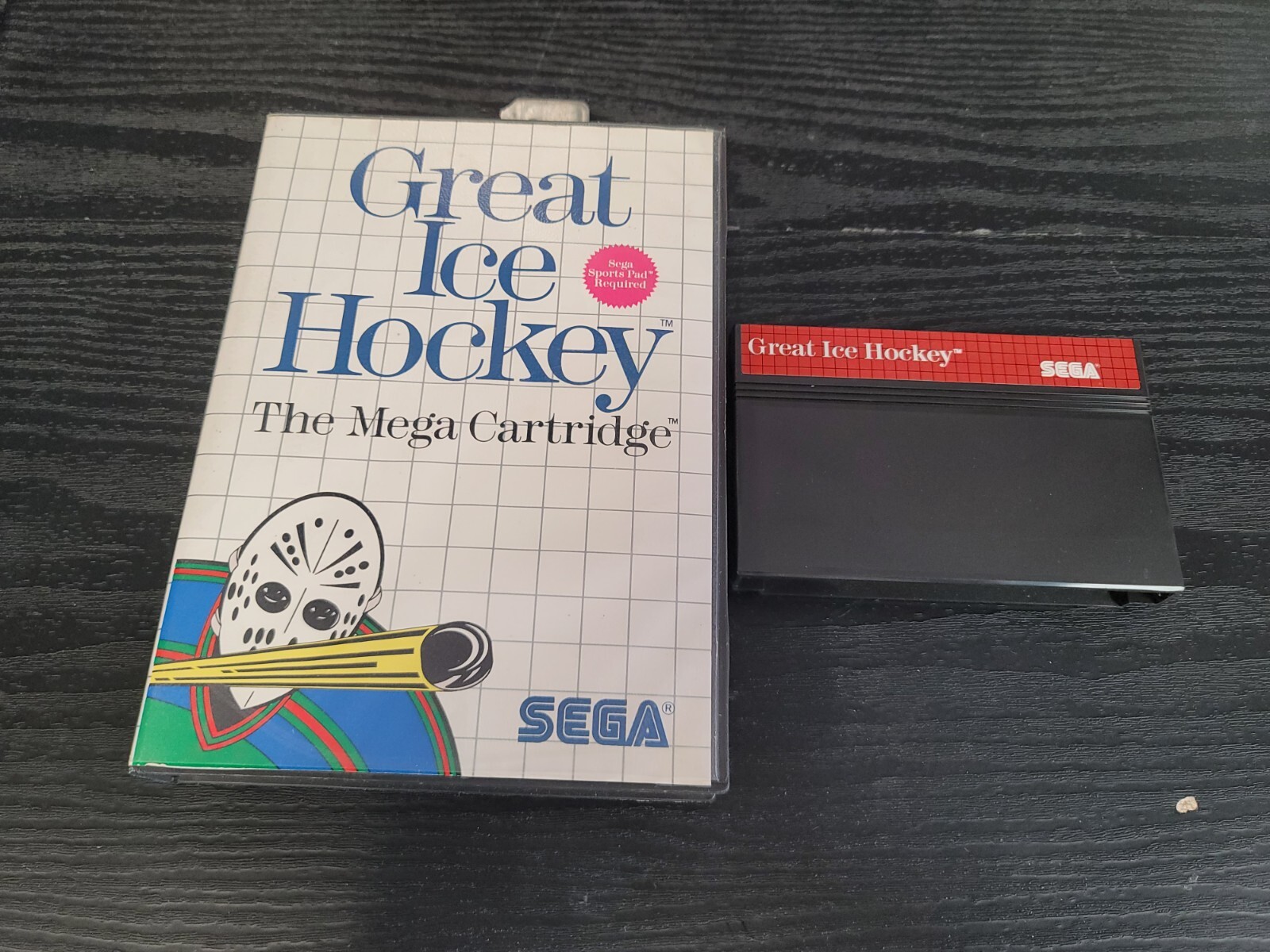 Great Ice Hockey for Sega Master System In Case Great Shape