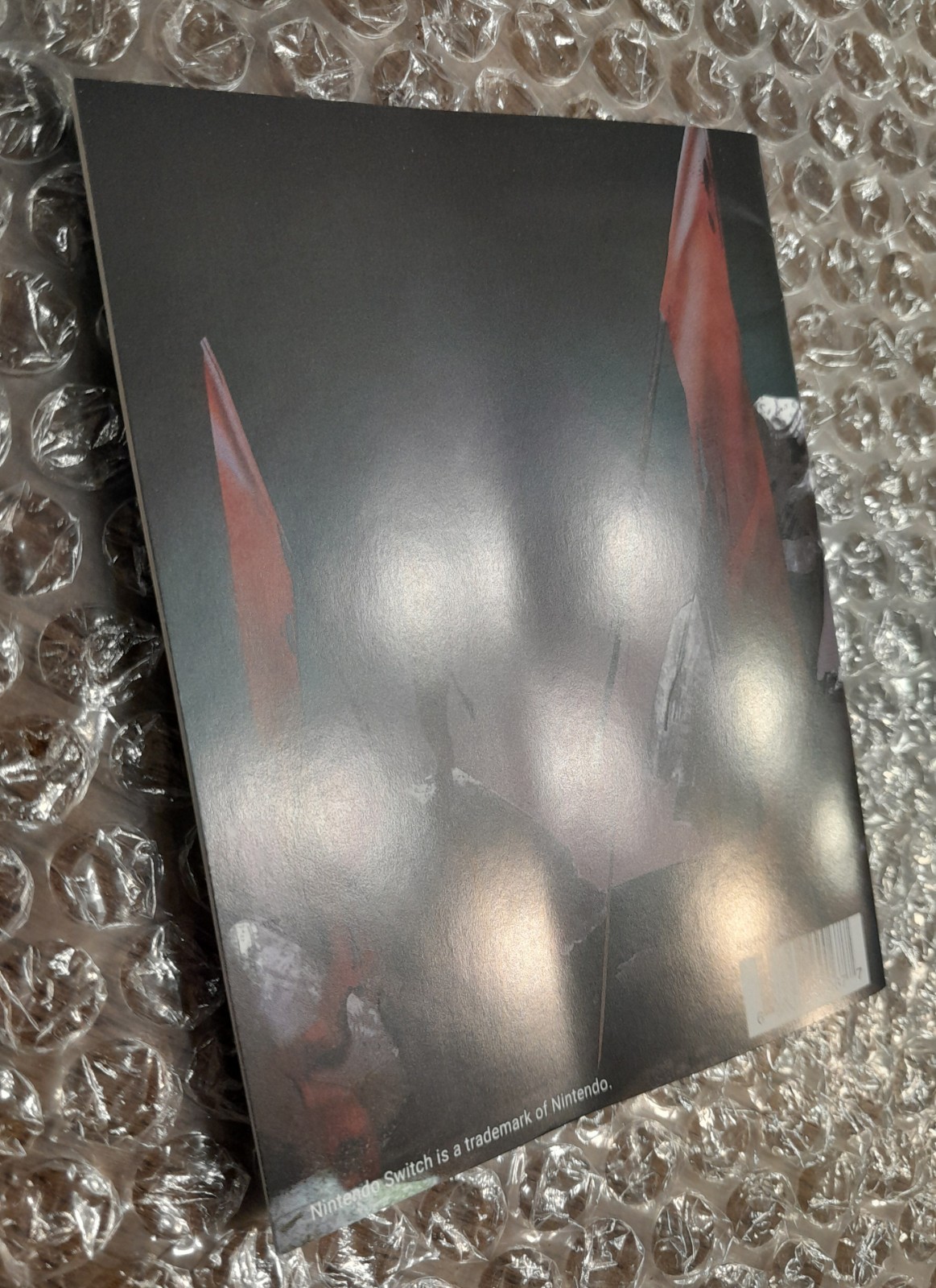 Banner of the Maid (Super Rare Games) (Nintendo Switch) (PEGI) (Region-free)