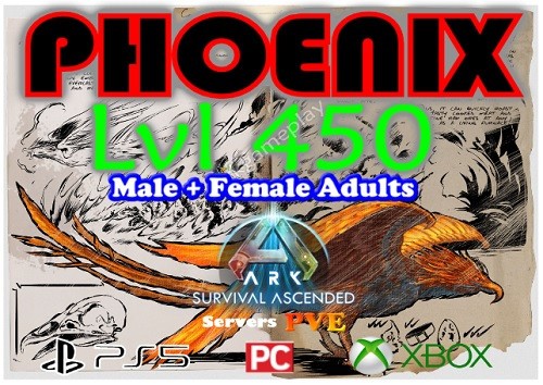 Ark Ascended PVE – Phoenix LVL 450 “Male+Female Adults” (PC/Xbox/PS5)