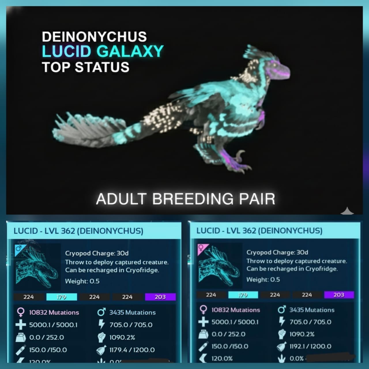 New top Deinonychus adult breeding pair level 362 Ark Ascended PVE PC/XBOX/PS5