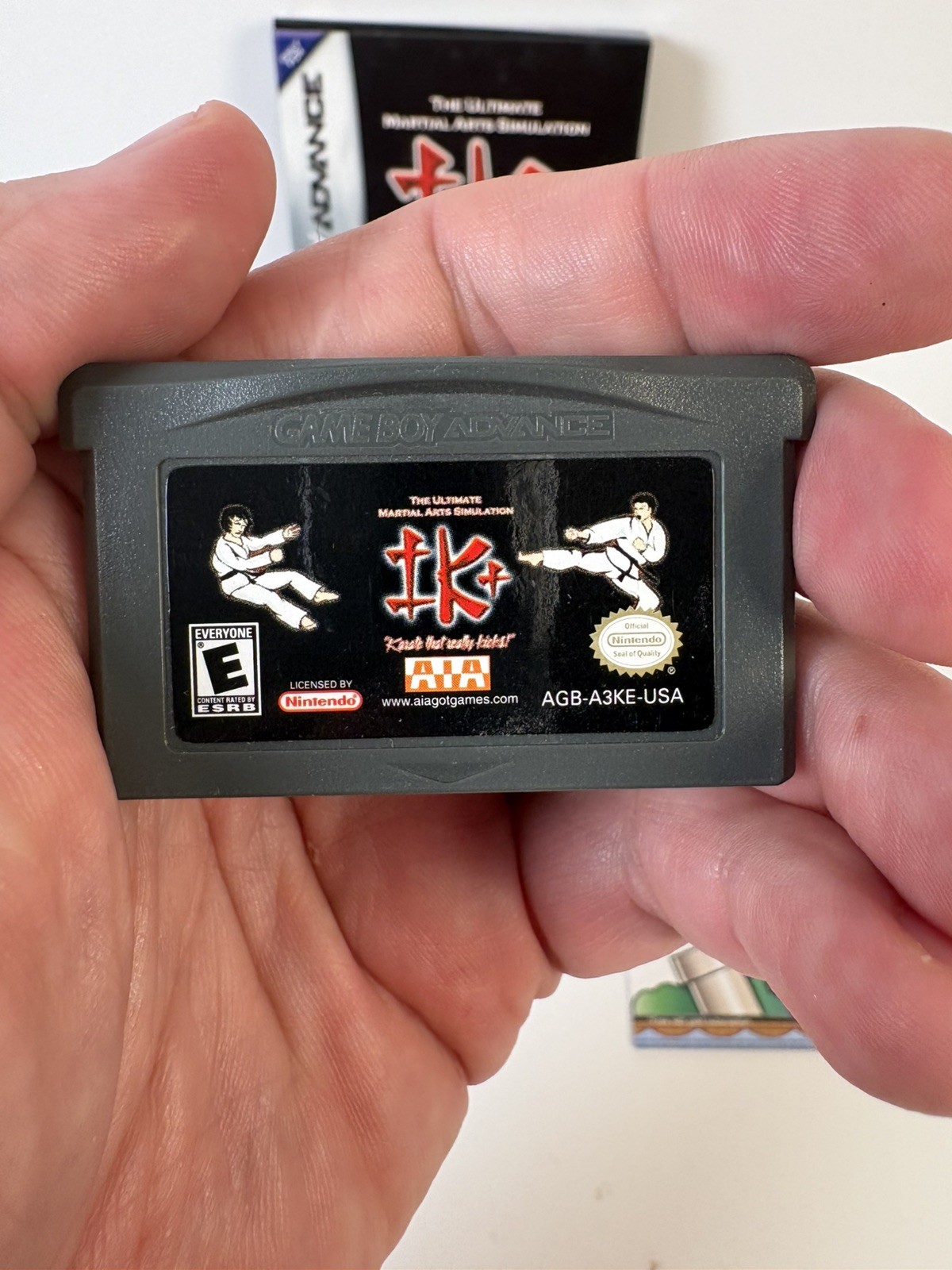 IK+: The Ultimate Martial Arts Simulator (GameBoy Advance GBA) 100% Complete! NM