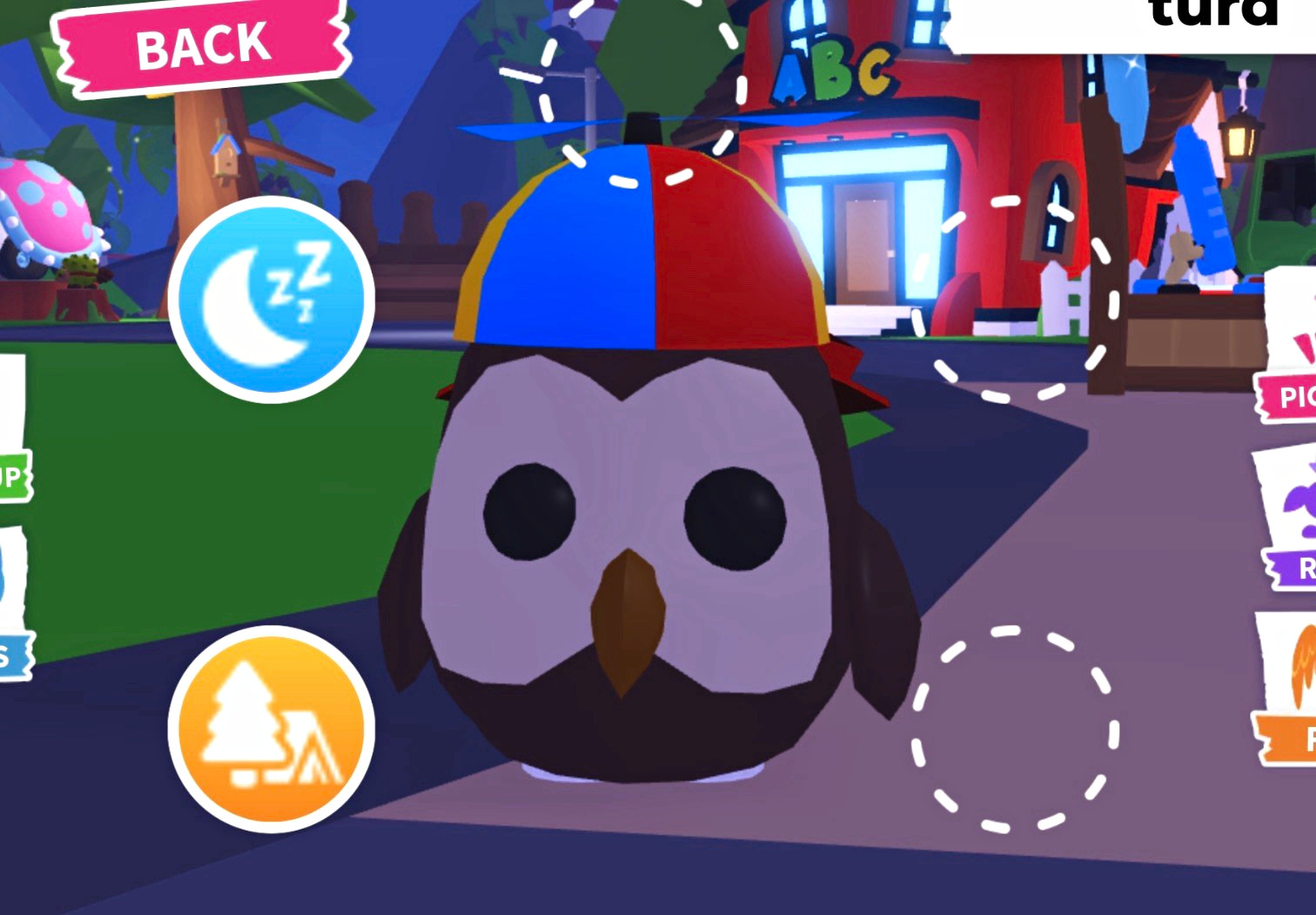 roblox adopt me owl