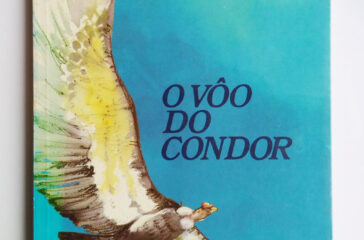 13---O-Vôo-do-Condor-Grupo-Klimmek-SBS----1989