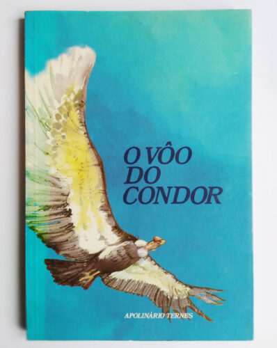 13---O-Vôo-do-Condor-Grupo-Klimmek-SBS----1989