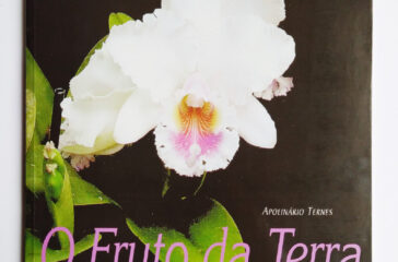 19---O-Fruto-da-Terra---Festa-das-Flores---2001